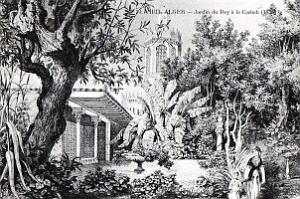 Vieil Alger 13